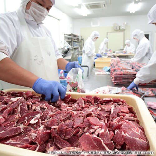 千歳ラム工房 味付豚ジンギスカン 600g (肩ロース/300g×2p/冷凍) ジンギスカン 豚肉 豚ロース ご家庭用_7