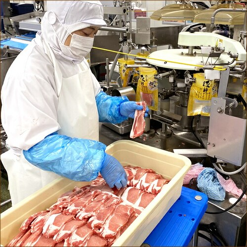 �k�C���Y �ؘ� �ؘ��̋� 6�H (�؃��[�X/����t��/�Ⓚ) �Ԃ��� �\�� �эL �M�t�g ���ƒ�p ���̎R�{_3