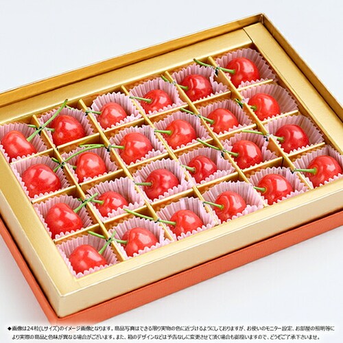 �y�o�ג��z�R�`���Y �������� ������ (�����n�E�X/�G�i/2L�T�C�Y/24������) ���� �M�t�g ���蕨 �t���[�c_1