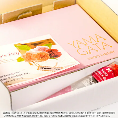 �y�o�ג��z�R�`���Y �������� ������ (�����n�E�X/�G�i/2L�T�C�Y/24������) ���� �M�t�g ���蕨 �t���[�c_4