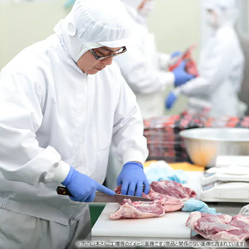 ��΃����H�[ ���t�����W���M�X�J�� 600g (��/300g�~2p/�Ⓚ) ���� �W���M�X�J�� �r�� ������ ���ƒ�p_5