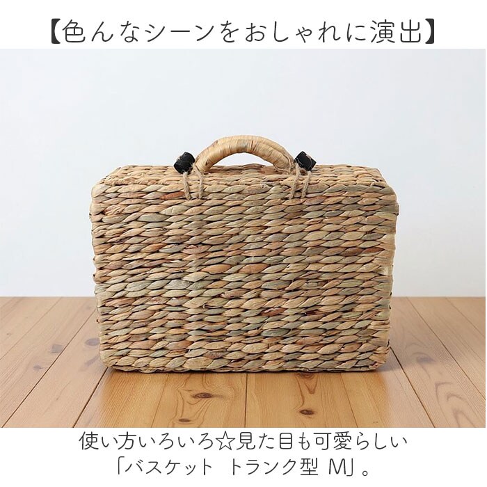 ナチュラル バスケット ピクニック 通販 Mサイズ カゴバスケット