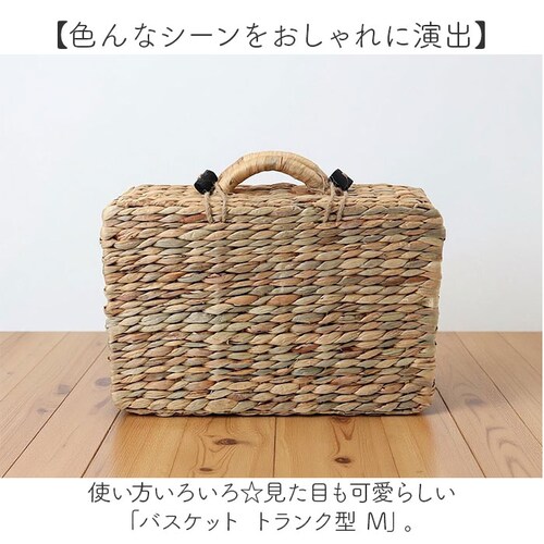 �o�X�P�b�g �s�N�j�b�N �ʔ� �l�T�C�Y �J�S�o�X�P�b�g �E�H�[�^�[�q���V���X�o�X�P�b�g �s�N�j�b�N�o�X�P�b�g �J�S�o�b�O �g�����N �E�F���J���X�y�[�X ���� �� �B�e���� �t�H�g�u�[�X �V���v�� ����_1