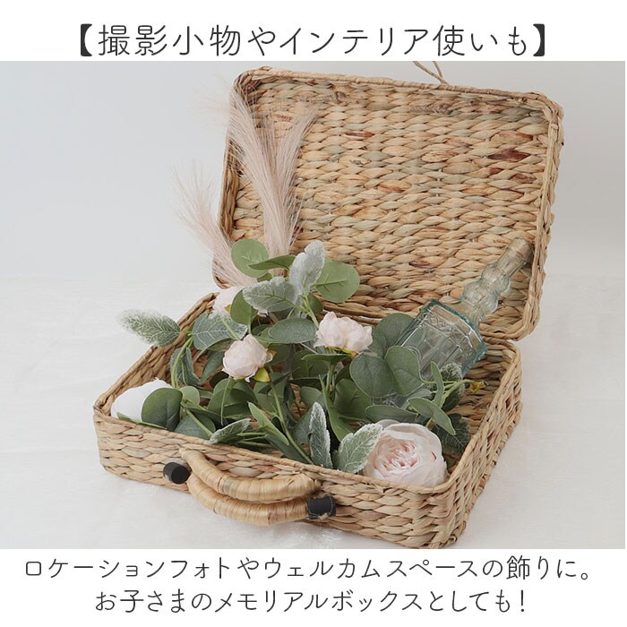ナチュラル バスケット ピクニック 通販 Mサイズ カゴバスケット