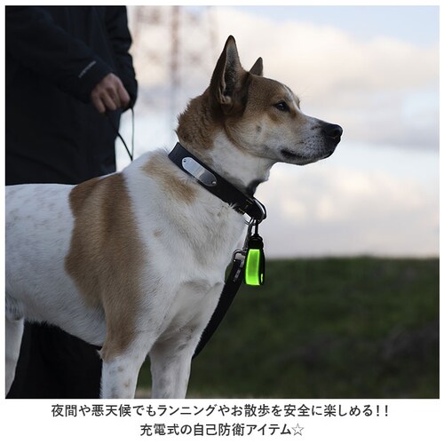 led �Z�[�t�e�B���C�g �[�d�� �ʔ� �i�C�g�}�[�J�[ CHARGE ���S���C�g ���^�g�s���C�g ���t���N�^�[ ���� �����h�Z�� USB�[�d �h�� ��� �e�[�����C�g ��l �q�� �L�b�Y �q�ǂ� ����_1