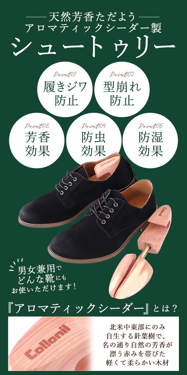 Men's L(27.5-30.0) コロニル シューキーパー 通販 シューツリー