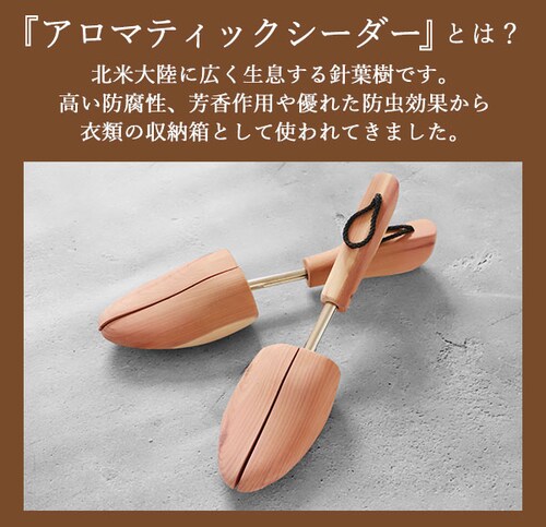 �}�[�P�� �V���[�g�D���[ �ؐ� �ʔ� MARKEN ���K�i �V���[�L�[�p�[ �V���[�c���[ �X�g���b�`���[ ���b�h�V�_�[ �A���}�e�B�b�N�V�_�[ ���f�B�[�X �����Y �V���[�Y�P�A �V���[�P�A�p�i �V���[�Y_2