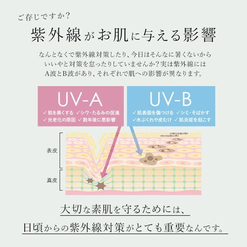 parasol �P 55cm ���P ���f�B�[�X �ʔ� �J�P ���P ���J���p ���� �J�T ���J���p�P �w�l�P ��J�� ��J���� ���S�Ռ� UV�J�b�g �y�� �ϕ� �ՔM ���O���΍� ���n �����p �V���v��_5