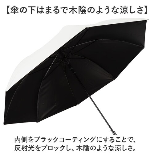 ���J���p�P 65cm ���P �ʔ� �J�P ���P �P ���� �J�T �w�l�P ���J���p UV�΍� ���O���΍� �ՔM �M���Ǒ΍� �u���b�N�R�[�e�B���O �� �R�[�e�B���O ��� �V���v�� �����Y ���f�B�[�X �j��_3