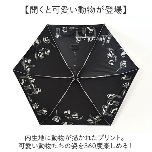 MKN �܂肽���ݎP ���f�B�[�X �J�P ���P 47cm �ʔ� �܂��ݎP �P ���� �J�T ���J���p�P �A���u���� �w�l�P �܂��� �܂肽���� ���J���p �Ռ� �ՔM �~�j ������ �R���p�N�g �����^��_2