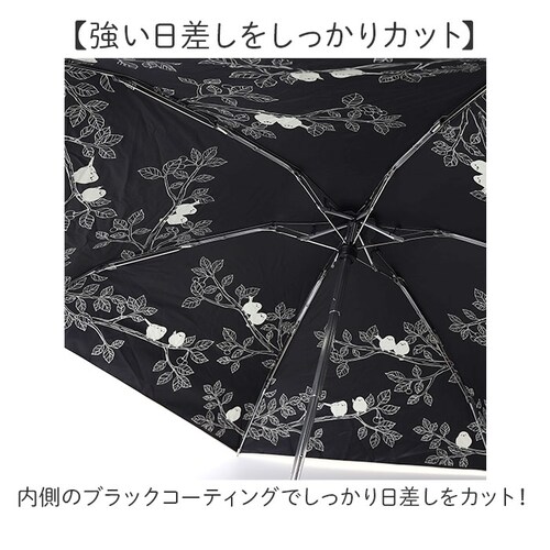 MKN �܂肽���ݎP ���f�B�[�X �J�P ���P 47cm �ʔ� �܂��ݎP �P ���� �J�T ���J���p�P �A���u���� �w�l�P �܂��� �܂肽���� ���J���p �Ռ� �ՔM �~�j ������ �R���p�N�g �����^��_4