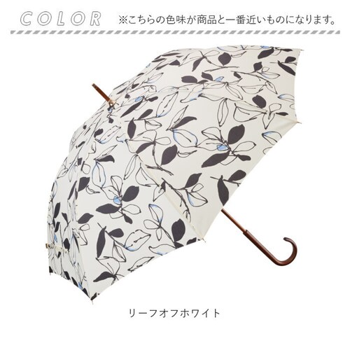 ���P ���f�B�[�X �ʔ� umbulatio �A���u���e�B�I �J�P �w�l�P ���f�B�[�X�P �P ���� �J�T ��J���P �J���₷�� ������� ���킢�� �ʋ� �ʊw �ؖ_�V���t�g ��i �a���� ��̓� �M�t_11