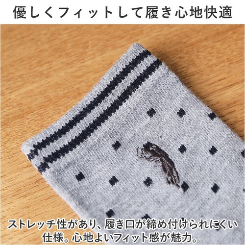 �C�� ���f�B�[�X 12���g �ʔ� �N���[�\�b�N�X �\�b�N�X �C���� ���� �w�l�C�� �� �w�l�p ���f�B�[�X�\�b�N�X �Z�b�g ������� 22?24cm ������ �I�V���� �V���v�� �u�����h �|�� ��_3