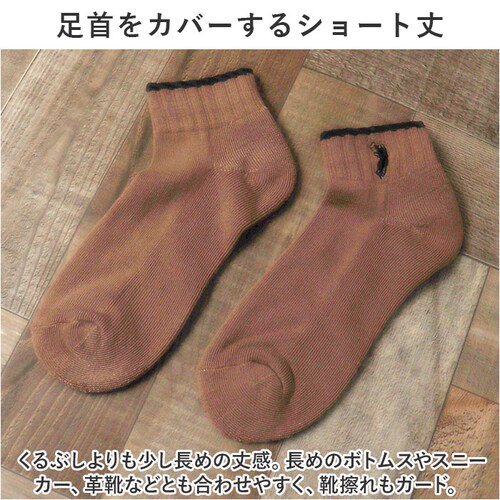 �C�� ���f�B�[�X 12���g �ʔ� �\�b�N�X �C���� �X�|�[�c�\�b�N�X �V���[�g�\�b�N�X ���� �w�l�C�� �A���N���b�g�\�b�N�X �A���N���\�b�N�X ���f�B�[�X�\�b�N�X ������� 22?24cm ������_3