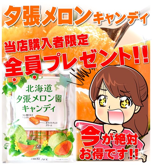 【出荷中】お中元 北海道 夕張メロン 1玉入り (秀品/1玉 2.0kg/冷蔵便) メロン 赤肉メロン 夏ギフト 暑中見舞い 残暑見舞い ギフト 贈り物 お祝い 果物 フルーツ お取り寄せ_13