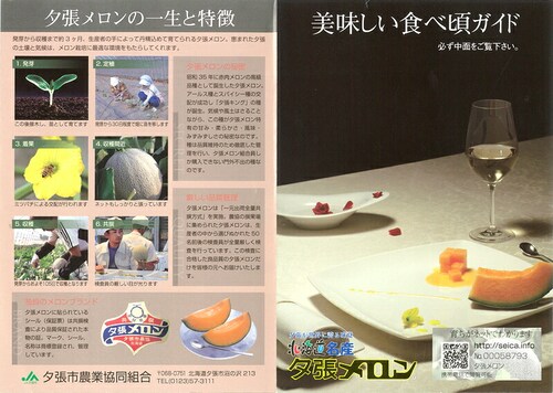 【出荷間近】北海道産 訳あり 夕張メロン 1玉 (JA共撰/良品/冷蔵便) わけあり 自宅用 ご家庭用 果物 お取り寄せ_7