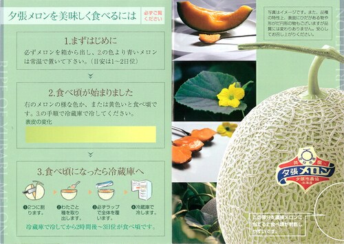 【出荷間近】北海道産 訳あり 夕張メロン 1玉 (JA共撰/良品/冷蔵便) わけあり 自宅用 ご家庭用 果物 お取り寄せ_8