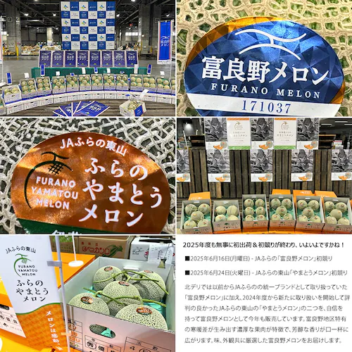 【出荷中】北海道 特大 大玉 富良野メロン 1玉 (秀品/1玉 2.0kg/常温便) ふらのメロン 赤肉メロン お中元 暑中見舞い 残暑見舞い ギフト 贈り物 甘み 果物 フルーツ お取り寄せ_8