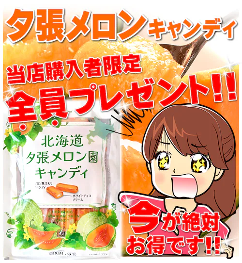 【出荷中】お中元 北海道 夕張メロン 1玉入り (優品/1玉 1.6kg/冷蔵便) メロン 赤肉メロン 夏ギフト 暑中見舞い 残暑見舞い ギフト 贈り物 お祝い 果物 フルーツ お取り寄せ_13
