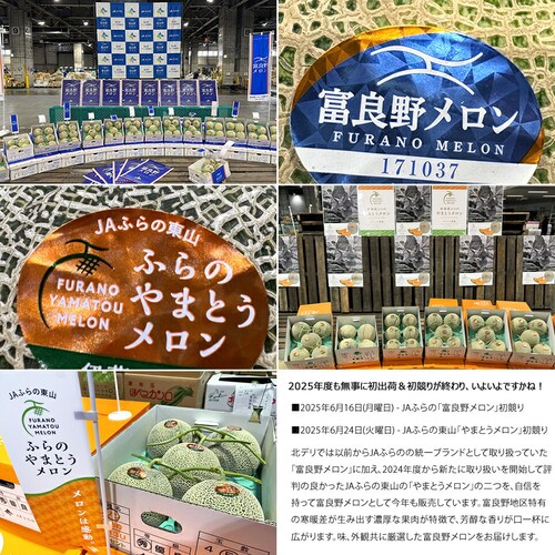 【出荷中】北海道 大玉 富良野メロン 1玉 (秀品/1玉 1.6kg/常温便) ふらのメロン 赤肉メロン お中元 暑中見舞い 残暑見舞い ギフト 贈り物 甘み 果物 フルーツ お取り寄せ_8