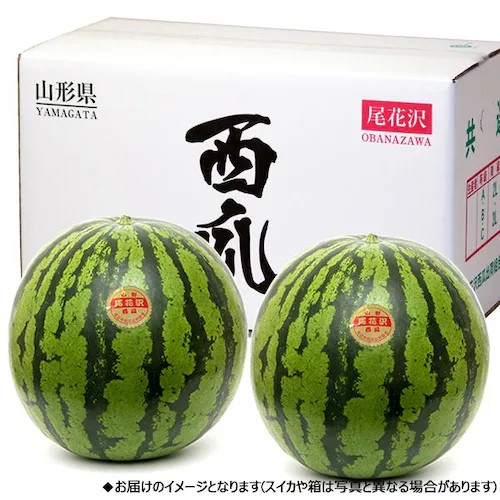【出荷中】山形県産 JAみちのく村山 尾花沢すいか 1玉 (共撰/A品/1玉 約7kg) すいか スイカ 西瓜 ギフト 贈り物 ご家庭用 果物 フルーツ 山形 お取り寄せ_13