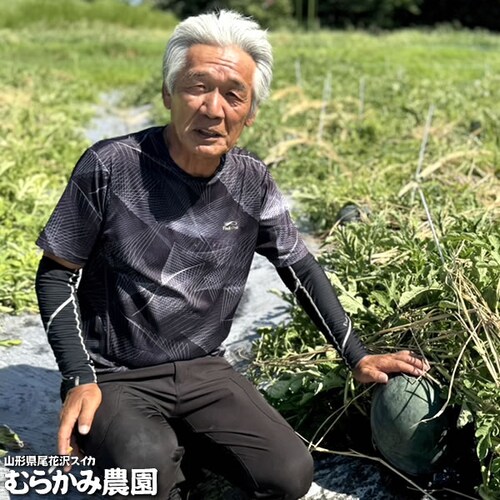 【販売終了】山形県産 スイカ ブラックジャック 1玉 (秀品/1玉 約6kg×1玉) むらかみ農園 すいか ギフト 贈り物 お取り寄せ_9