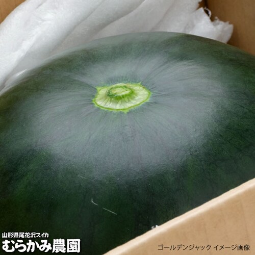 【販売終了】山形県産 スイカ ブラックジャック 1玉 (秀品/1玉 約6kg×1玉) むらかみ農園 すいか ギフト 贈り物 お取り寄せ_15