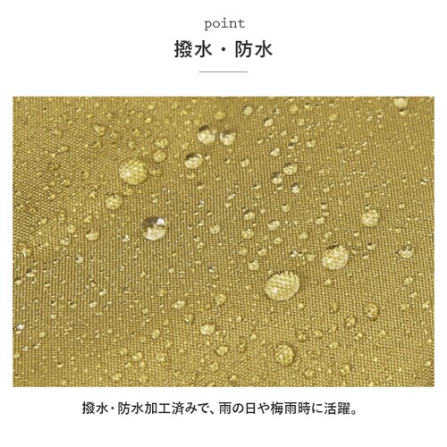 ���C���R�[�g �|���`�� ���]�� �ʔ� ���C���|���`�� ���f�B�[�X �����Y �ʊw �ʋ� �O���� �J�o�[ �t�[�h�t�� �J�� ���H ������ �q�U���G��Ȃ� �茳 �Œ� ���ł߂���Ȃ� ��ʎ� �V�e�B�T�C�N��_11