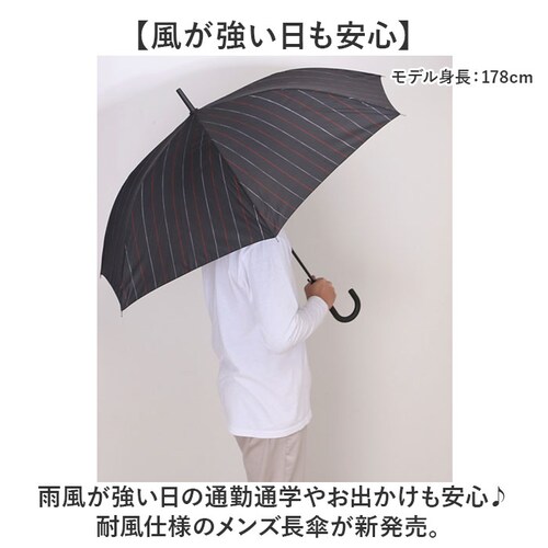 �P �����Y ���P ��v �ʔ� �W�����v�P �ϕ��P �J�P ���� �J�T �ϕ� �����^�b�` 7�{�� �I�[���O���X�t�@�C�o�[ ����ɂ����茳 65cm 65�Z���` �ʋ� �ʊw �a�m�P �j���p �j�� �a�m ����_1