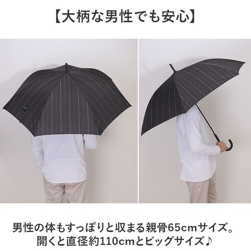 �P �����Y ���P ��v �ʔ� �W�����v�P �ϕ��P �J�P ���� �J�T �ϕ� �����^�b�` 7�{�� �I�[���O���X�t�@�C�o�[ ����ɂ����茳 65cm 65�Z���` �ʋ� �ʊw �a�m�P �j���p �j�� �a�m ����_3