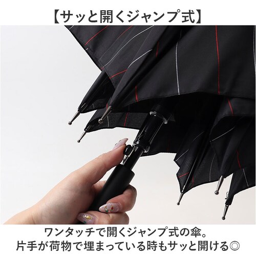 �P �����Y ���P ��v �ʔ� �W�����v�P �ϕ��P �J�P ���� �J�T �ϕ� �����^�b�` 7�{�� �I�[���O���X�t�@�C�o�[ ����ɂ����茳 65cm 65�Z���` �ʋ� �ʊw �a�m�P �j���p �j�� �a�m ����_4