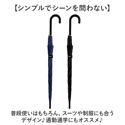 �P �����Y ���P ��v �ʔ� �W�����v�P �ϕ��P �J�P ���� �J�T �ϕ� �����^�b�` 7�{�� �I�[���O���X�t�@�C�o�[ ����ɂ����茳 65cm 65�Z���` �ʋ� �ʊw �a�m�P �j���p �j�� �a�m ����_5