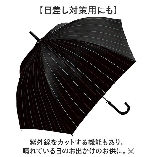 �P �����Y ���P ��v �ʔ� �W�����v�P �ϕ��P �J�P ���� �J�T �ϕ� �����^�b�` 7�{�� �I�[���O���X�t�@�C�o�[ ����ɂ����茳 65cm 65�Z���` �ʋ� �ʊw �a�m�P �j���p �j�� �a�m ����_6