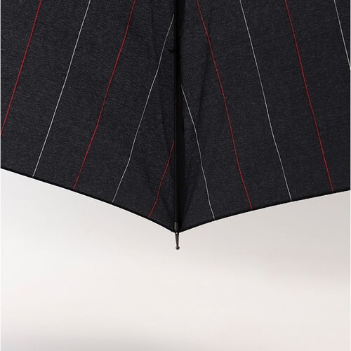 �P �����Y ���P ��v �ʔ� �W�����v�P �ϕ��P �J�P ���� �J�T �ϕ� �����^�b�` 7�{�� �I�[���O���X�t�@�C�o�[ ����ɂ����茳 65cm 65�Z���` �ʋ� �ʊw �a�m�P �j���p �j�� �a�m ����_13