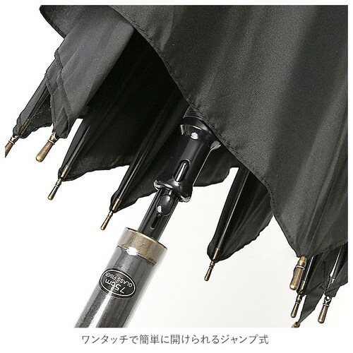 �P �����Y �傫�� �ʔ� ���ɋ��� ���P �W�����v�P 75cm �e�t�������H ���� �͂��� �y�� �y�� �����₷�� �ʋ� �ʊw �܂��� �܎P ���� �J�� �J�P �j���p �a�m�p SS-1095 �����Y_5