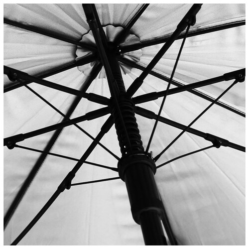 �傫�� �P 70 �ʔ� �����Y ���J���p�P �u�����h �A�e�C�� ������� ���P ���P �唻 70cm �ϕ��P ���� �O���X�t�@�C�o�[�� �W�����v�P �u���b�N �� �Ռ� uv�J�b�g 99% �a�m�P ����_5