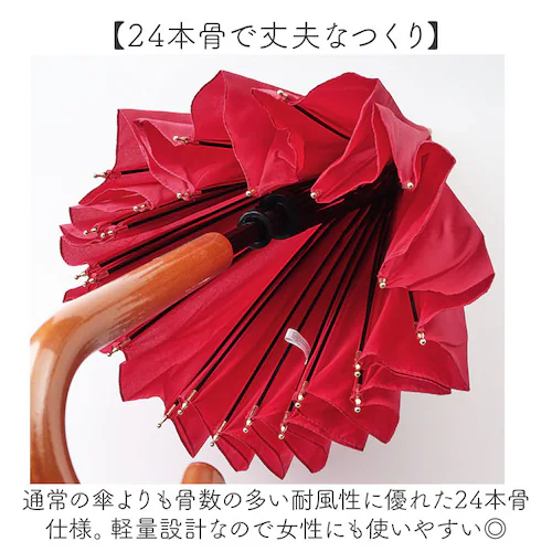 �P 24�{�� �ʔ� �ϕ��P 58cm ��J�� ���P �ϕ� ���� �J�T �J�P 24�{���P ���f�B�[�X �����Y ������� �V���v�� ���n �I�V���� �y�� �y�� �ʋ� �ʊw Natural basic �J��_3