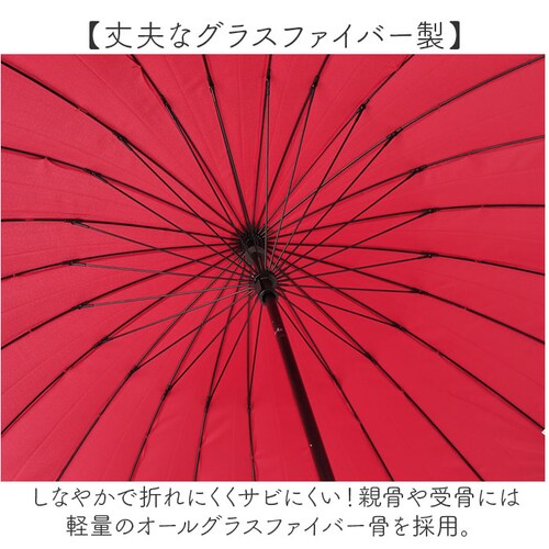 �P 24�{�� �ʔ� �ϕ��P 58cm ��J�� ���P �ϕ� ���� �J�T �J�P 24�{���P ���f�B�[�X �����Y ������� �V���v�� ���n �I�V���� �y�� �y�� �ʋ� �ʊw Natural basic �J��_4