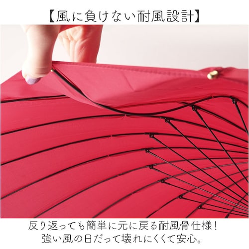 �P 24�{�� �ʔ� �ϕ��P 58cm ��J�� ���P �ϕ� ���� �J�T �J�P 24�{���P ���f�B�[�X �����Y ������� �V���v�� ���n �I�V���� �y�� �y�� �ʋ� �ʊw Natural basic �J��_5