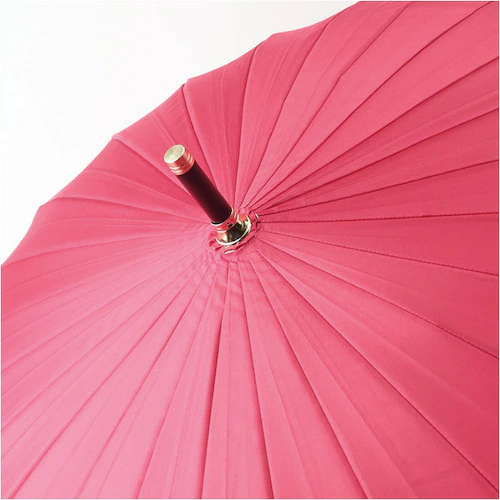 �P 24�{�� �ʔ� �ϕ��P 58cm ��J�� ���P �ϕ� ���� �J�T �J�P 24�{���P ���f�B�[�X �����Y ������� �V���v�� ���n �I�V���� �y�� �y�� �ʋ� �ʊw Natural basic �J��_11