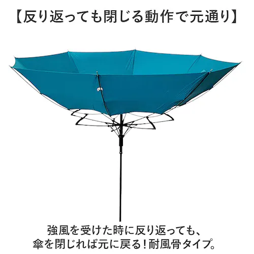 ���P 60cm �j�����p �ʔ� �J�P �P ���� �J�T �A���u���� ���f�B?�X�P �����Y�P ���� �O���X�t�@�C�o�[�� ��v �������H �ϋv�� �ϖ��Ր� �����͂����₷�� ���f�B?�X �����Y ���� �j�� _5