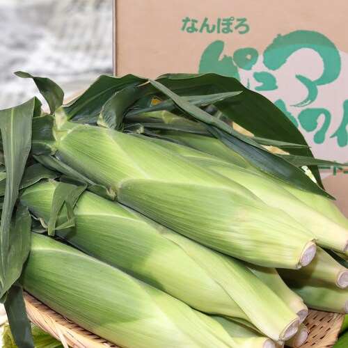 【予約順に順次出荷中】生産者さん応援! 北海道産 ご家庭用 とうもろこし 10本入り (訳あり/冷蔵便)北海道 南幌町明るい農村ネットワーク 自宅用 おうち用 野菜 お取り寄せ_5