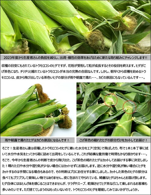 【予約順に順次出荷中】生産者さん応援! 北海道産 ご家庭用 とうもろこし 10本入り (訳あり/冷蔵便)北海道 南幌町明るい農村ネットワーク 自宅用 おうち用 野菜 お取り寄せ_9