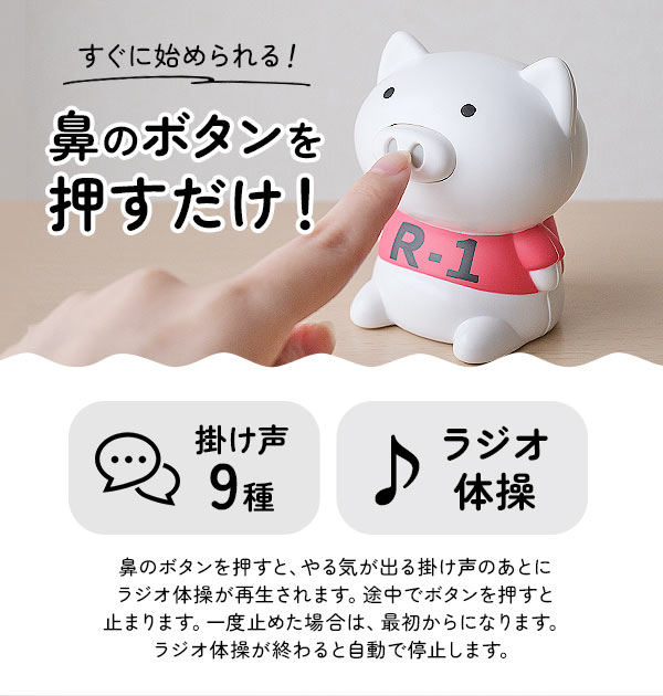 第一 ラジオ体操 ブタ 通販 ブーブー 第一 第二 体操ブーブー 第1 第2