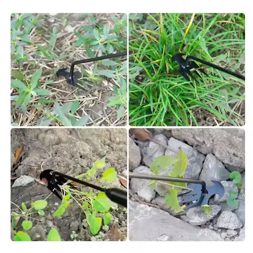 ������ ������ �ʔ� ���������� �����c�[�� �G������ ���� �G�� �������� �G������� ����u���[�h ����蓹�� �G���Ɉ��������� ���Ԃ��� �n���h ��̑���蓹�� �K�[�f�j���O �ƒ�p ���� ��_8