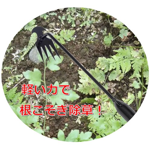 ������ ������ �ʔ� ���������� �����c�[�� �G������ ���� �G�� �������� �G������� ����u���[�h ����蓹�� �G���Ɉ��������� ���Ԃ��� �n���h ��̑���蓹�� �K�[�f�j���O �ƒ�p ���� ��_9