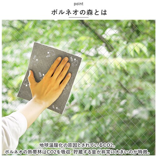 �X�|���W���C�v 10���Z�b�g �ʔ� ���؂�}�b�g �L�b�`�����C�v �z�� ��ӂ��� �X�|���W �N���X MQ-Duotex �G���L���[�f���I�e�b�N�X �Z�����[�X ���N�} �O���[ ���܂�� ���C�|�� ���@��_5