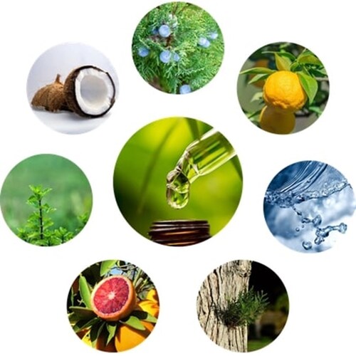 �؂ɓh�� �I�C�� 300ml �ʔ� ���{�� �؍� �؍ޗp �q�m�L�̍��� �G�b�Z���V�����I�C�� �V�R���� woodfood �E�b�h�t�[�h �E�b�h�P�A�I�C�� ���Y �ؐ��i�p �Ƌ�p �|���i �H�� ��������_3