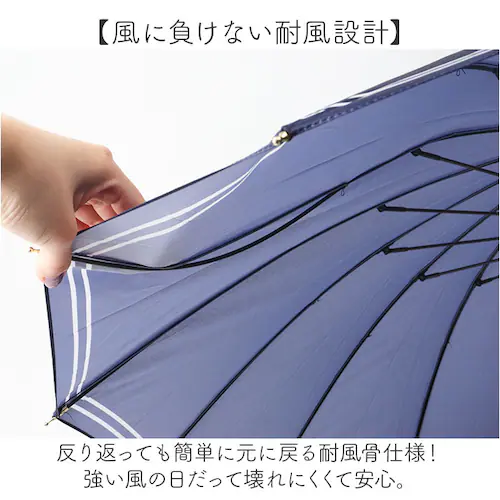 �P 16�{�� ���f�B�[�X ������� �ʔ� �ϕ��P 55cm ��J�� ���P �ϕ� ���� �J�T �J�P ���f�B�[�X�P ���� ���� ��l ���Z�� �I�V���� ���킢�� �V���v�� �y�� �y�� �ʋ� �ʊw Nat_5