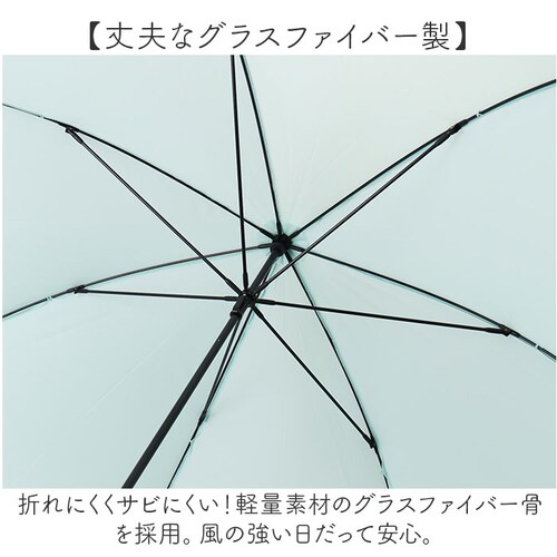 ���P ���f�B�[�X �y�� �ʔ� �P ���y�� ������ �ϕ��P �J�P ��J�� 60cm �ϕ� ���� ���� �J�T ��v �O���X�t�@�C�o�[ �ʋ� �ʊw ���� ��l ���Z�� �V���v�� ���n LIGHT as AI_5